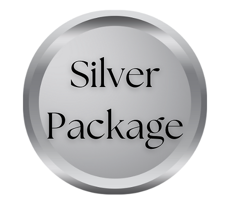Writing & Publishing Coach - Silver Package